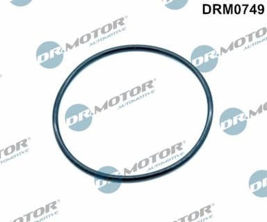 Blīve, Izplūdes gāzu recirkulācijas vārsts Dr.Motor Automotive DRM0749 1