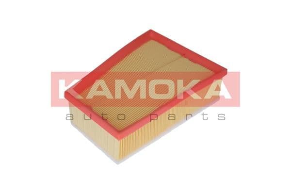 Gaisa filtrs KAMOKA F234101 1