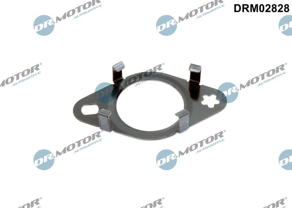 Blīve, EGR vārsta cauruļvads Dr.Motor Automotive DRM02828 1