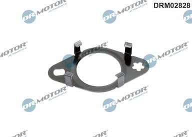 Blīve, EGR vārsta cauruļvads Dr.Motor Automotive DRM02828 1