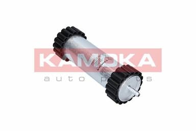 Degvielas filtrs KAMOKA F318901 1