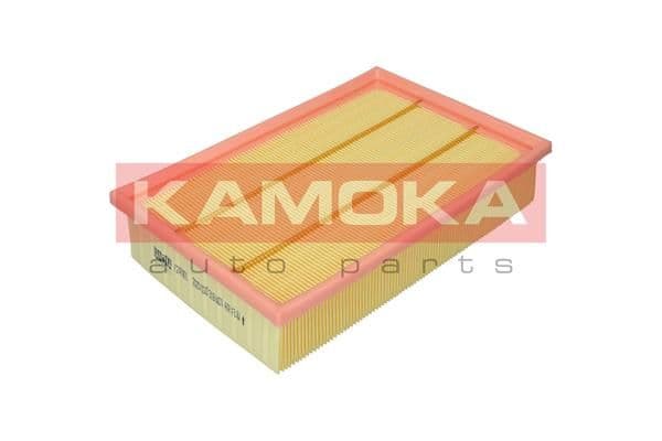 Gaisa filtrs KAMOKA F247801 1