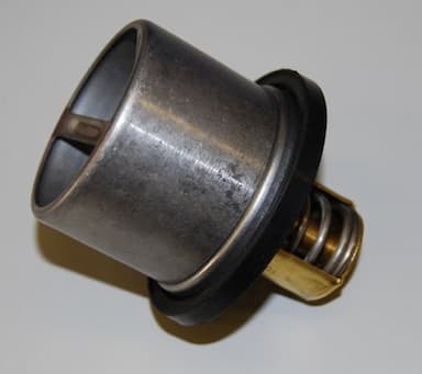 Termostats, Dzesēšanas šķidrums BorgWarner (Wahler) 4619.75 2