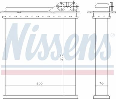 Siltummainis, Salona apsilde NISSENS 73363 6