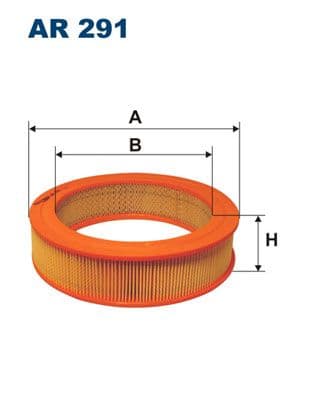 Gaisa filtrs FILTRON AR 291 1