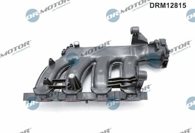 Ieplūdes caurules modulis Dr.Motor Automotive DRM12815 2