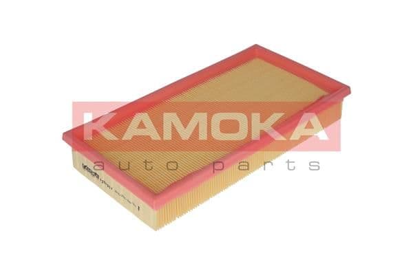 Gaisa filtrs KAMOKA F207901 1