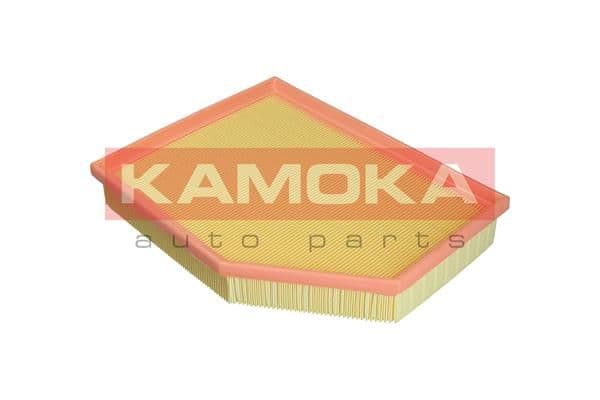 Gaisa filtrs KAMOKA F250601 1