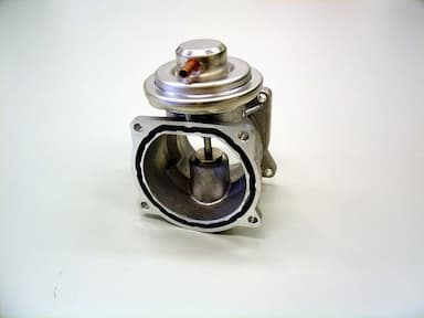 Izpl. gāzu recirkulācijas vārsts BorgWarner (Wahler) 7268D 1