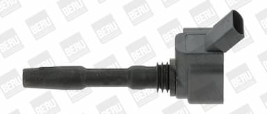 Aizdedzes spole BorgWarner (BERU) ZSE137 1