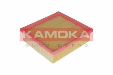 Gaisa filtrs KAMOKA F222001 1