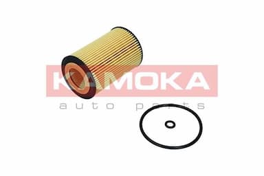 Eļļas filtrs KAMOKA F117601 2