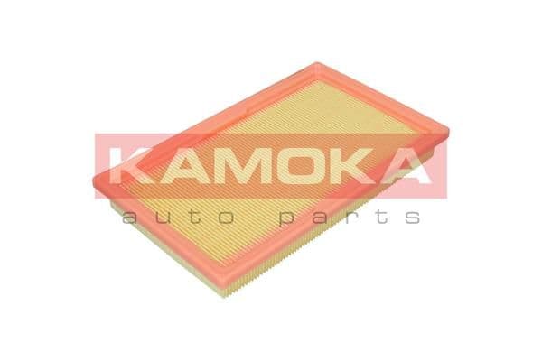 Gaisa filtrs KAMOKA F253601 1