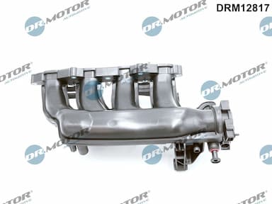 Ieplūdes caurules modulis Dr.Motor Automotive DRM12817 1