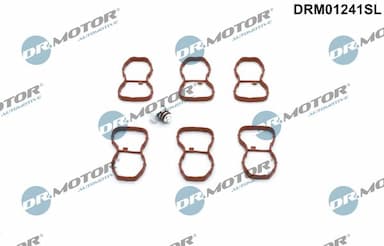 Remonta komplekts, ieplūdes kolektora modulis Dr.Motor Automotive DRM01241SL 1