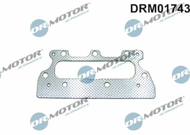 Blīve, Izplūdes kolektors Dr.Motor Automotive DRM01743 1