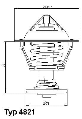 Termostats, Dzesēšanas šķidrums BorgWarner (Wahler) 4821.89D 1