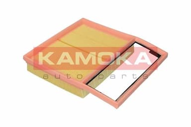 Gaisa filtrs KAMOKA F252901 4