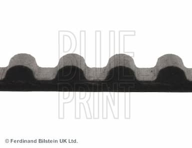 Zobsiksna BLUE PRINT ADC47511 2