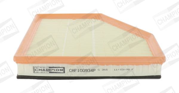 Gaisa filtrs CHAMPION CAF100934P 1