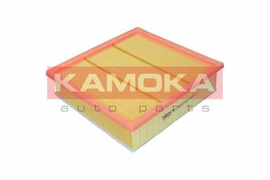 Gaisa filtrs KAMOKA F246701 4