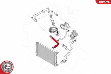 Radiatora cauruļvads ESEN SKV 43SKV709 4