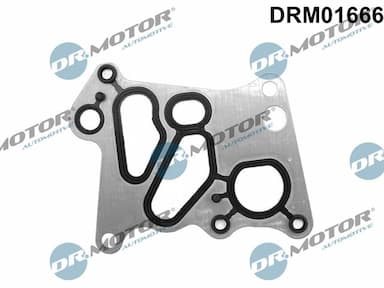 Blīve, Eļļas radiators Dr.Motor Automotive DRM01666 1