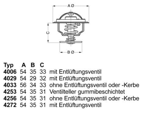 Termostats, Dzesēšanas šķidrums BorgWarner (Wahler) 4256.92D50 1