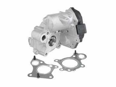 Izpl. gāzu recirkulācijas vārsts BorgWarner (Wahler) 712019D 1