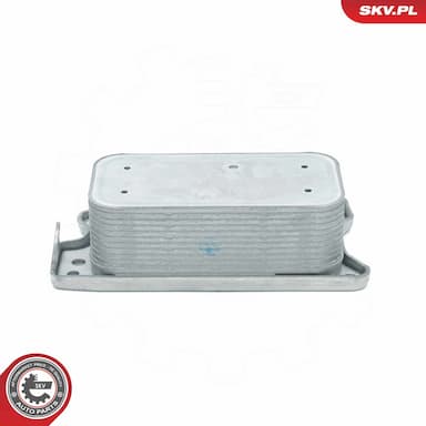 Eļļas radiators, Motoreļļa ESEN SKV 31SKV219 4