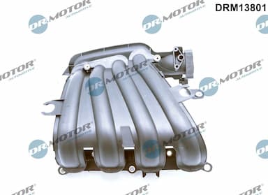 Ieplūdes caurules modulis Dr.Motor Automotive DRM13801 1