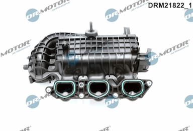 Ieplūdes caurules modulis Dr.Motor Automotive DRM21822 2