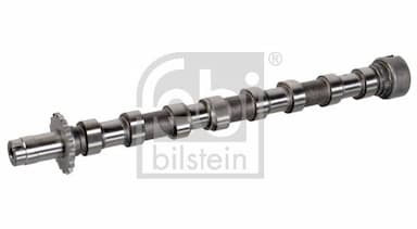 Sadales vārpsta FEBI BILSTEIN 176294 2