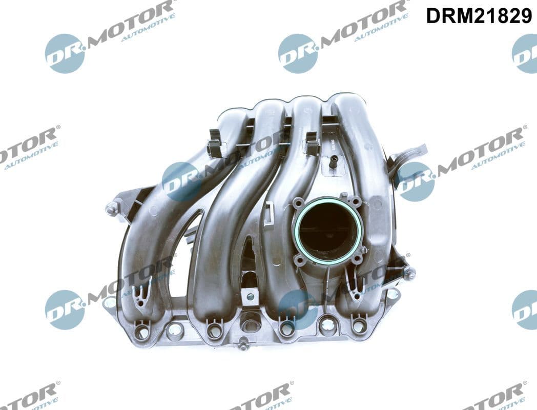 Ieplūdes caurules modulis Dr.Motor Automotive DRM21829 1