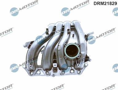 Ieplūdes caurules modulis Dr.Motor Automotive DRM21829 1