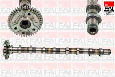 Sadales vārpsta FAI AutoParts C381 1