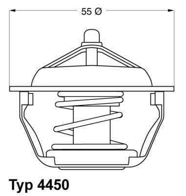 Termostats, Dzesēšanas šķidrums BorgWarner (Wahler) 4450.83D 1