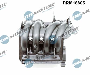 Ieplūdes caurules modulis Dr.Motor Automotive DRM16805 2