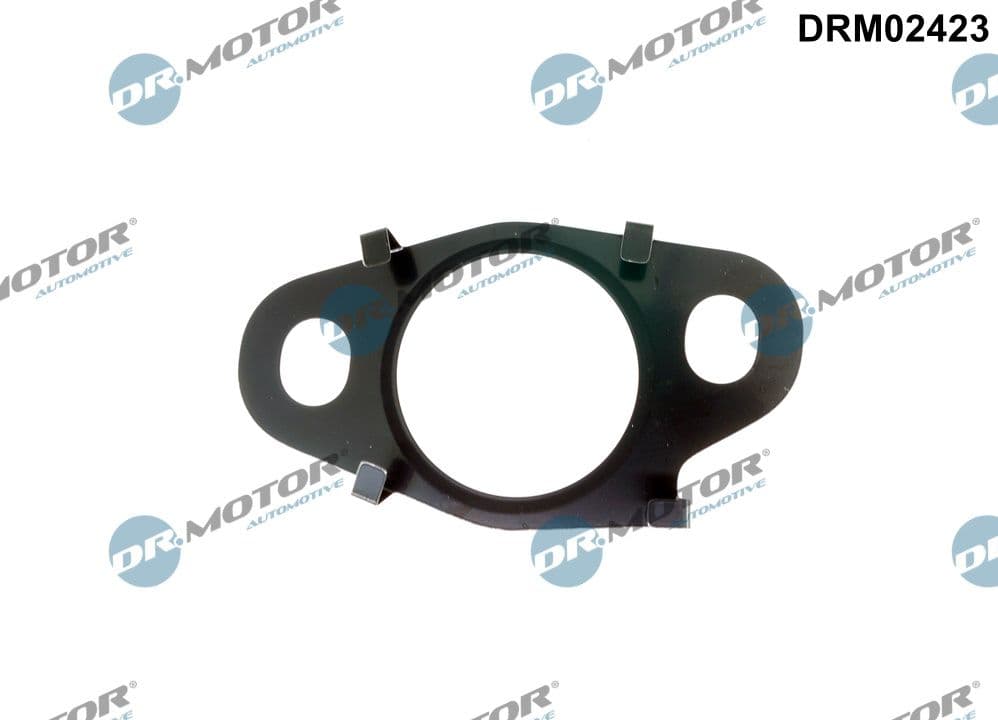 Blīve, EGR vārsta cauruļvads Dr.Motor Automotive DRM02423 1