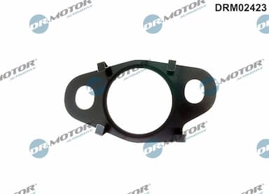 Blīve, EGR vārsta cauruļvads Dr.Motor Automotive DRM02423 1