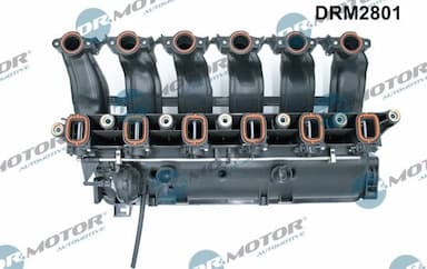 Ieplūdes caurules modulis Dr.Motor Automotive DRM2801 2