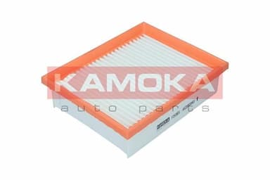 Gaisa filtrs KAMOKA F253801 1