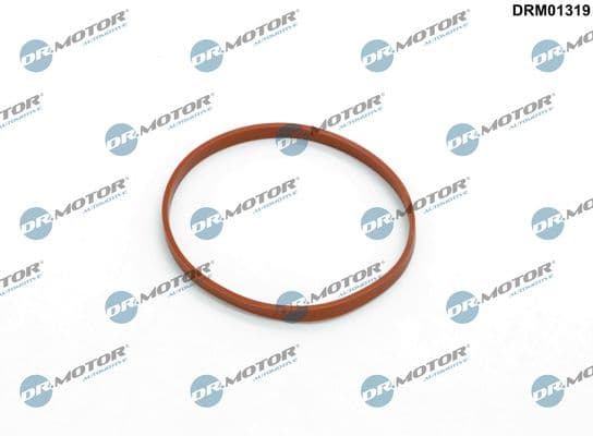 Blīve, Droseļvārsta īscaurule Dr.Motor Automotive DRM01319 1