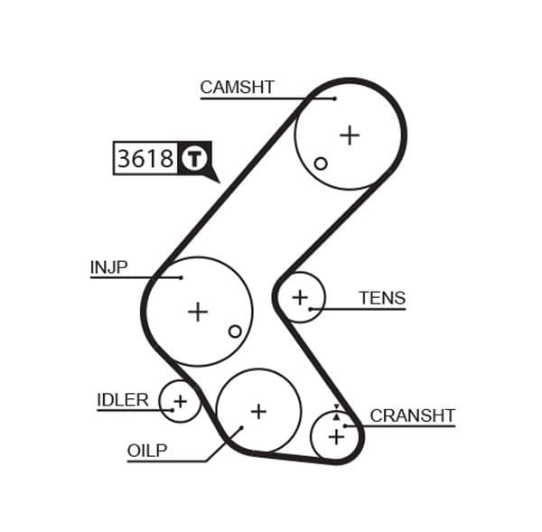 Zobsiksna GATES 5563XS 1