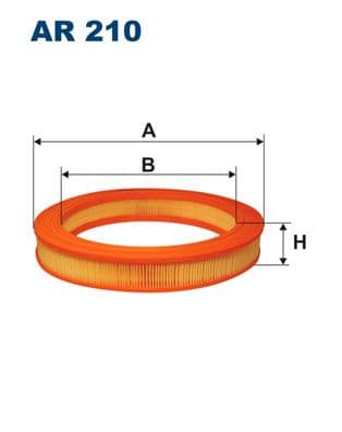 Gaisa filtrs FILTRON AR 210 1