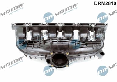 Ieplūdes caurules modulis Dr.Motor Automotive DRM2810 1