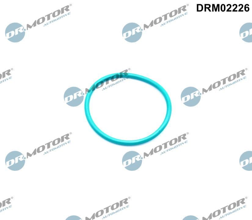 Blīve, Izplūdes gāzu recirkulācijas vārsts Dr.Motor Automotive DRM02226 1