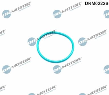 Blīve, Izplūdes gāzu recirkulācijas vārsts Dr.Motor Automotive DRM02226 1