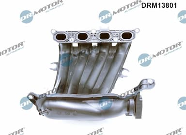 Ieplūdes caurules modulis Dr.Motor Automotive DRM13801 2