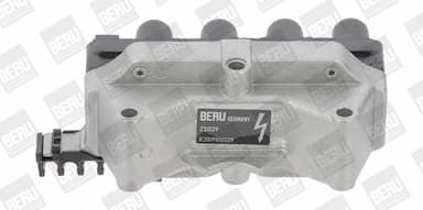 Aizdedzes spole BorgWarner (BERU) ZS029 1